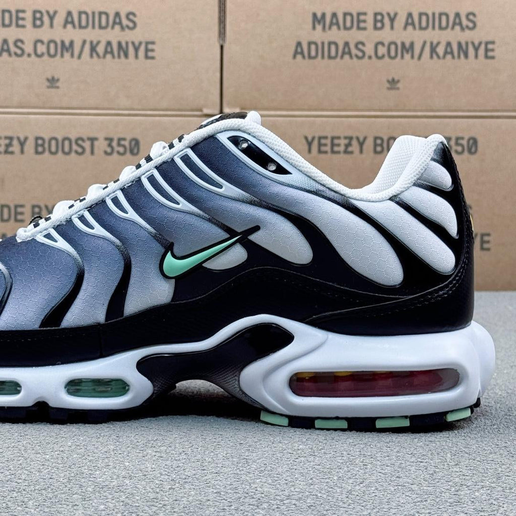 Nike Air Max Plus Tn