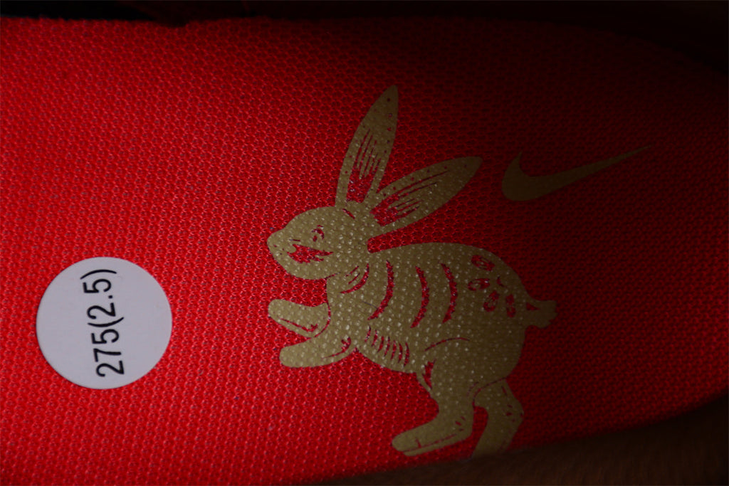 Nike Dunk Low Year of Rabbit Chengdu