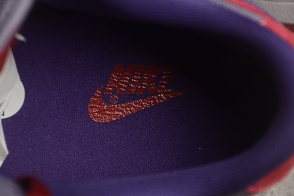 Nike Dunk Low Retro Vol. 1 SP Plum