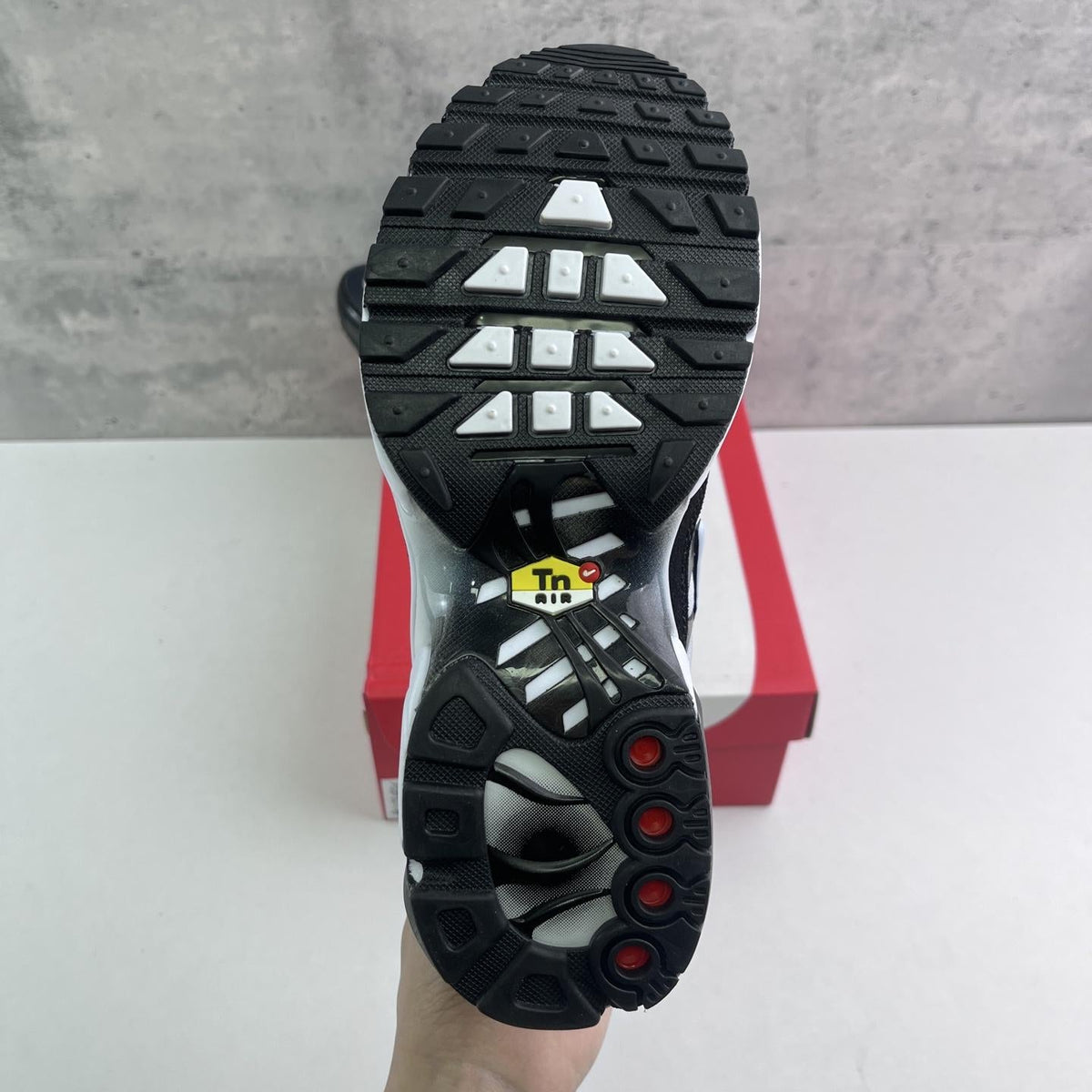 Nike Air Max Plus Tn