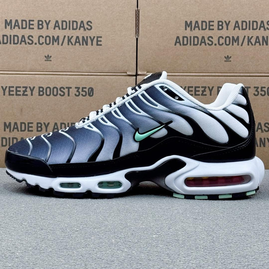 Nike Air Max Plus Tn