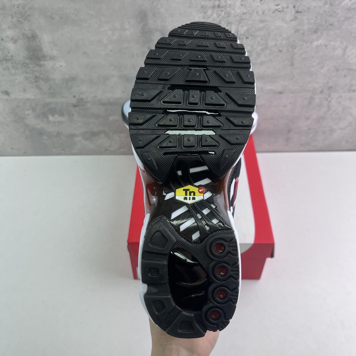 Nike Air Max Plus Tn